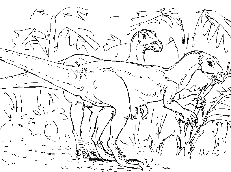 Click to download an illustration of: Dryosaurus